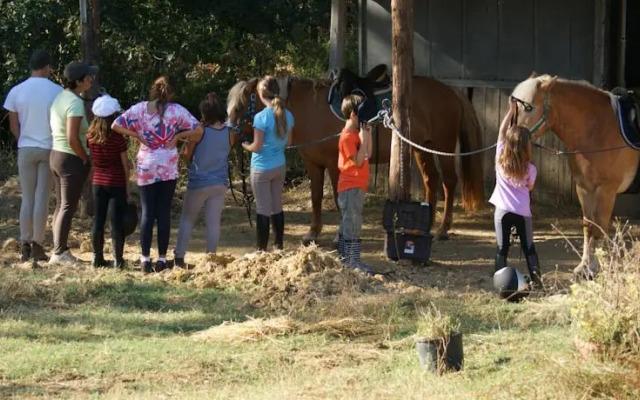 Farm Fattoria Le Planaie