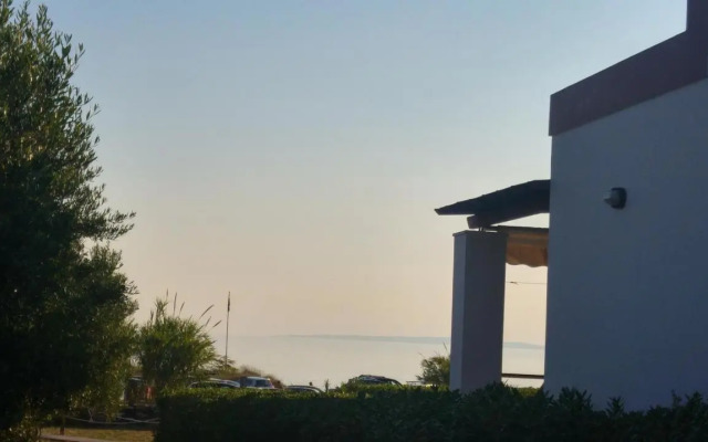 Tramonto Nel Delfini
