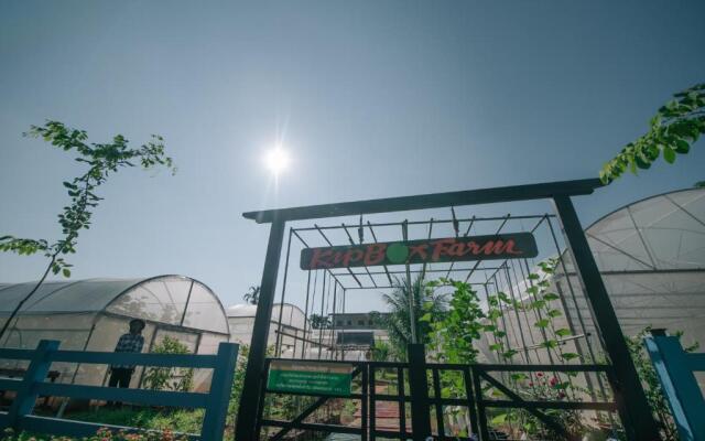 Kipbox hotel trang