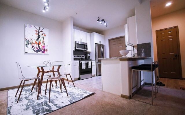 The Elvis Presley Urban Luxury Apts Austin