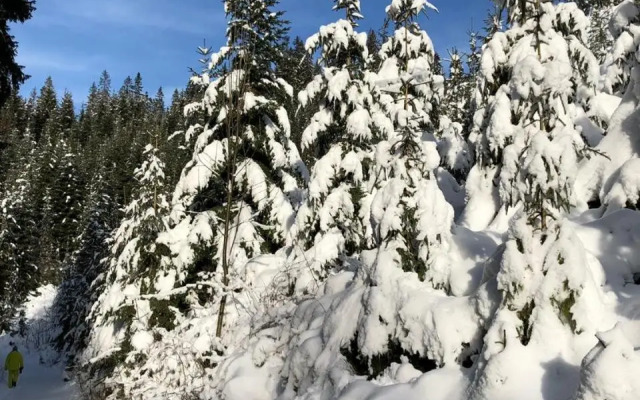 Panorama Donovaly 34-B