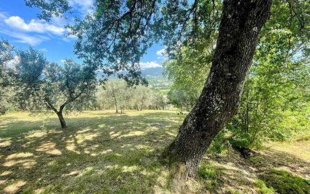 Spoleto Tranquilita - Yoga Studio - Asanctuary of Dreams and Peace