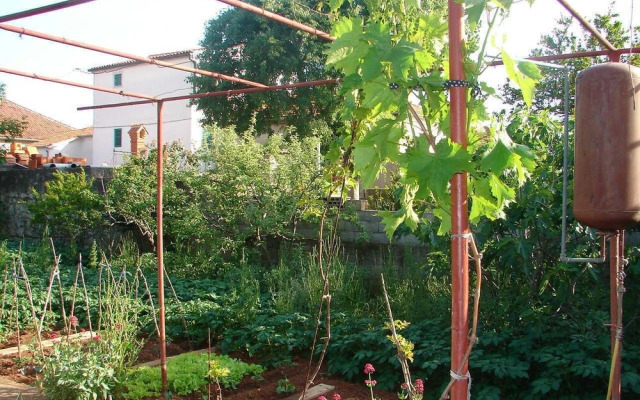 Dragan - Economy Apartments - A1 Veci