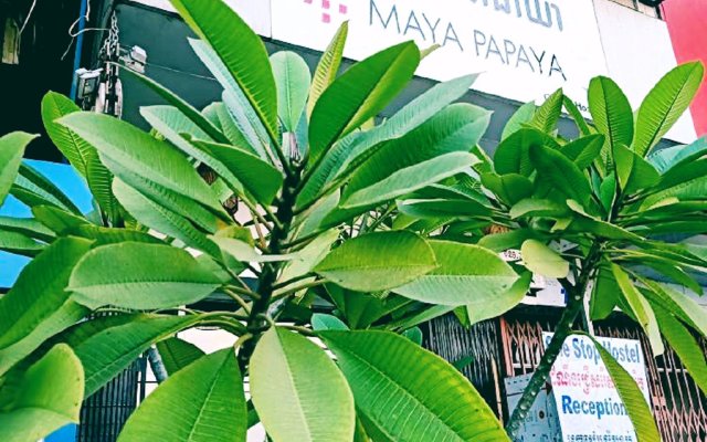 Maya Papaya Cafe & Hostel