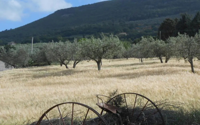 BB Il Sentiero Di Assisi