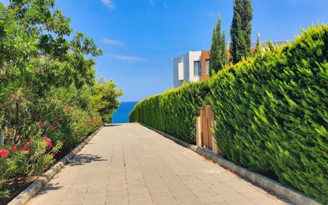 Phaedrus Living: Amorosa 13 Beachside Villa