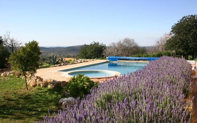 Casa Amarela by Portucasa