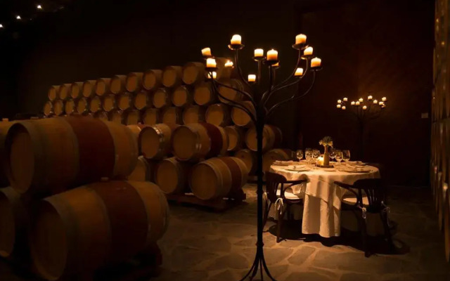 Chateau Pago De Cirsus