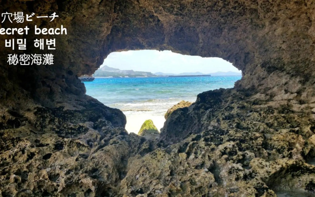 Papillon パピヨン