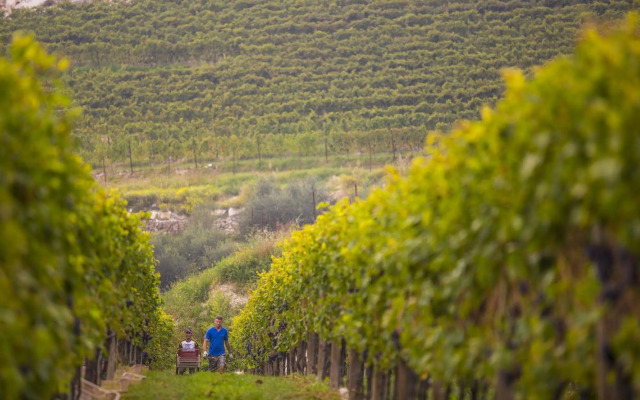 B&B Boutique Osteria della pieve