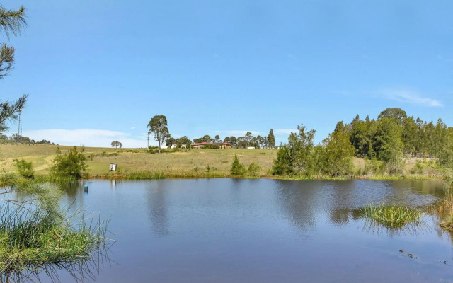 Noble Willow Estate Lovedale. Super Spacious, with views and pool