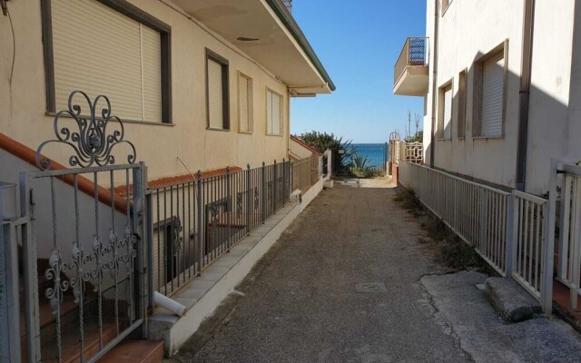 I Gigli di Mare
