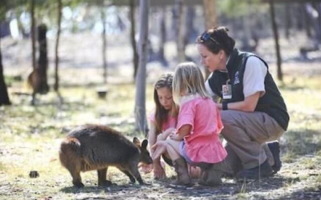 Billabong Camp, Taronga Western Plains Zoo