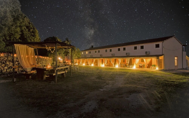 Il giardino degli ulivi