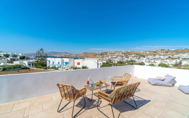 Mykonos Cactus