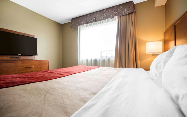 Comfort Inn & Suites