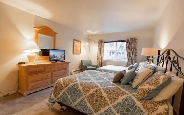 Nine Vail Road Condos in Heart of Vail Village by RedAwning