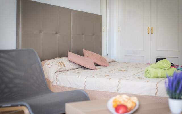 530 Big Studio with Terrace