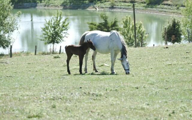 Agriturismo Il Daino