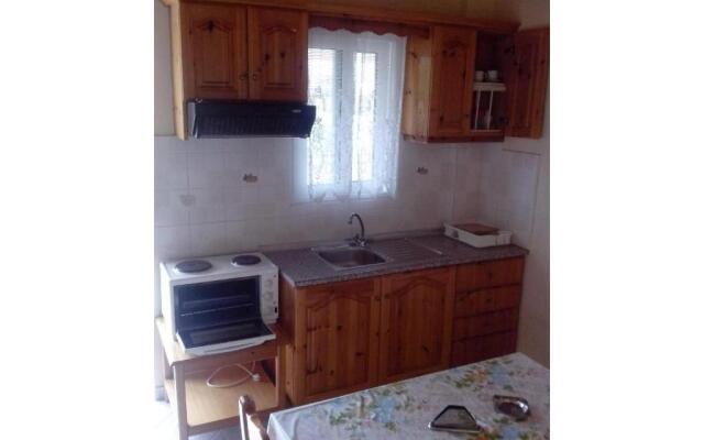 Olga Studio 2