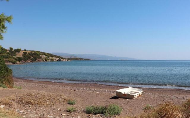 Ioannas 2