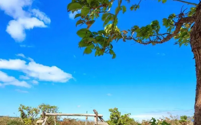 Wild Island B&B