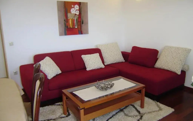 Apartment Lenko