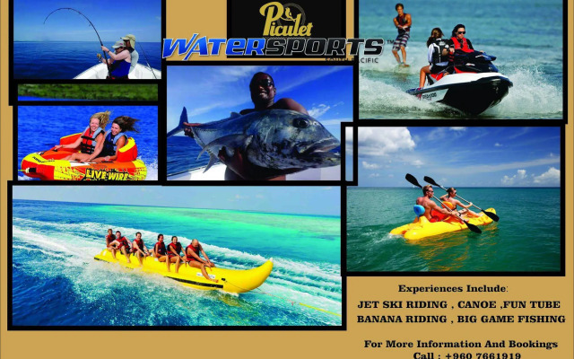 Piculet Royal Beach