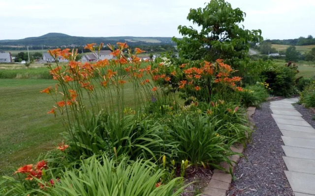Rose and Thistle Bed and Breakfast
