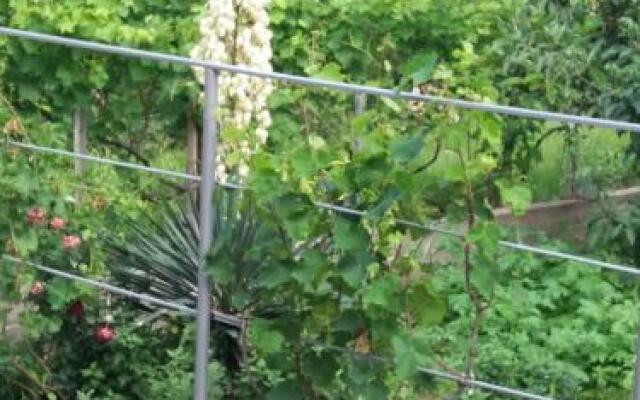 Guest House on Gorgasali Street