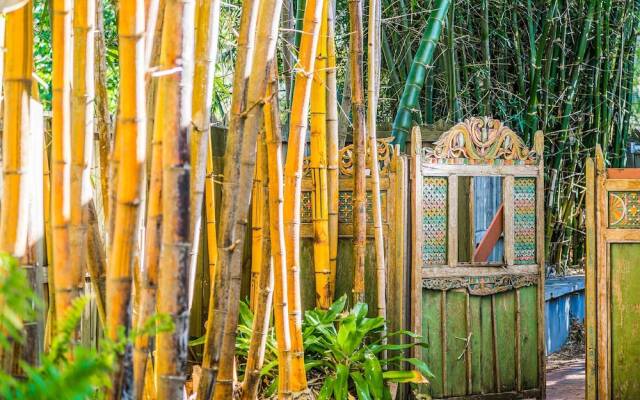 Bamboo Beach House