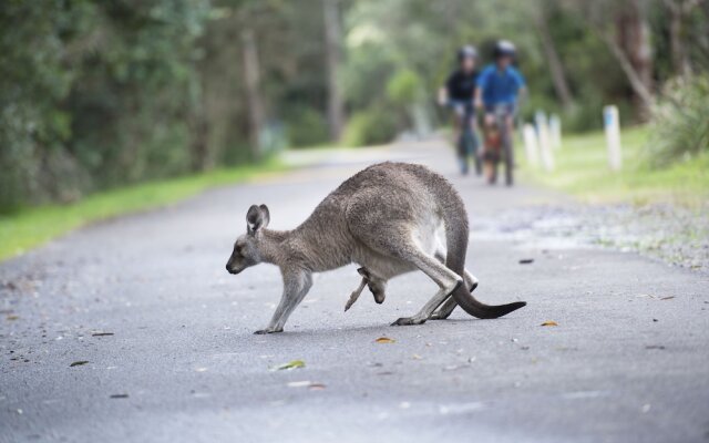 NRMA Myall Shores Holiday Park