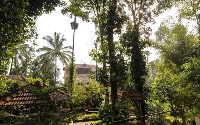 Little Home Resort