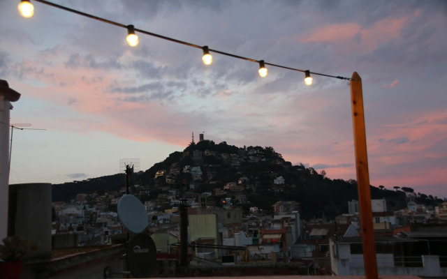 La Magnòlia i L´Alzina