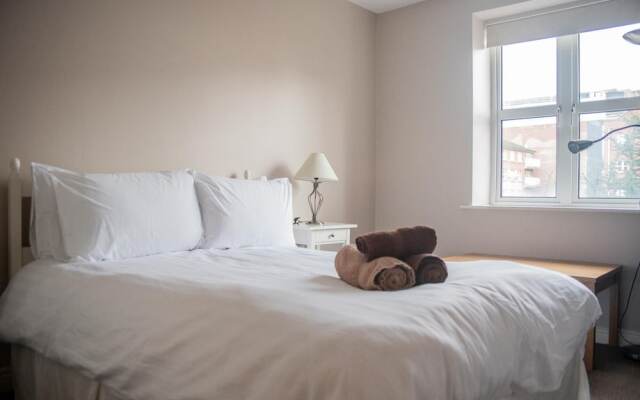 The Windmill in Dublin