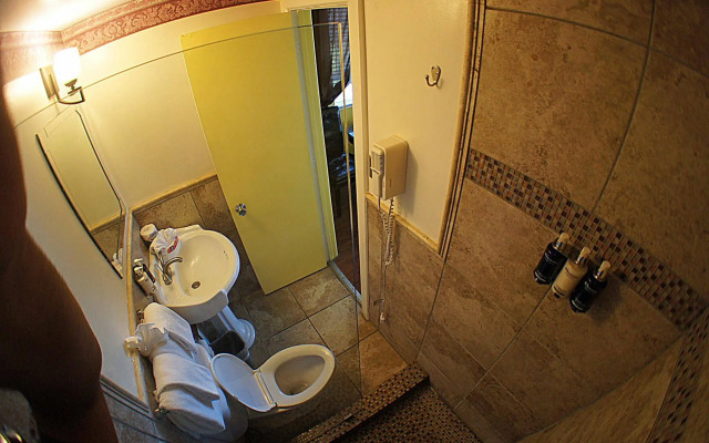 Pegasus International Hotel