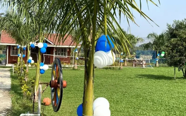 Mango Tree Farm