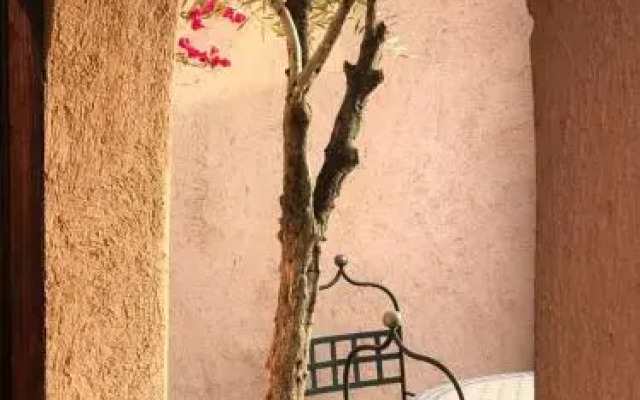Riad Zahir