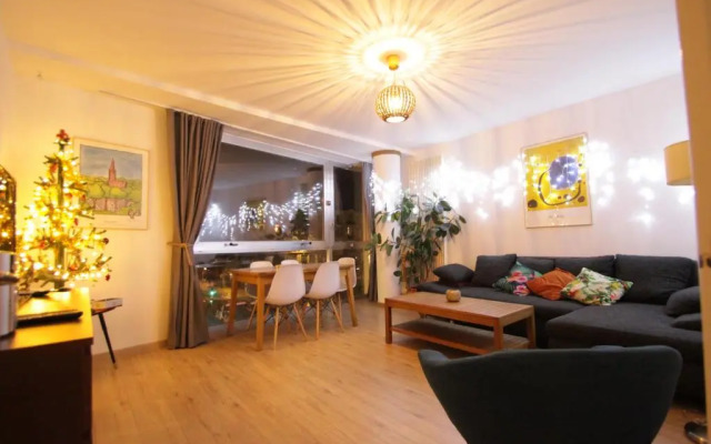 Au cœur de Strasbourg, 3 pièces vue sur l'Ill!