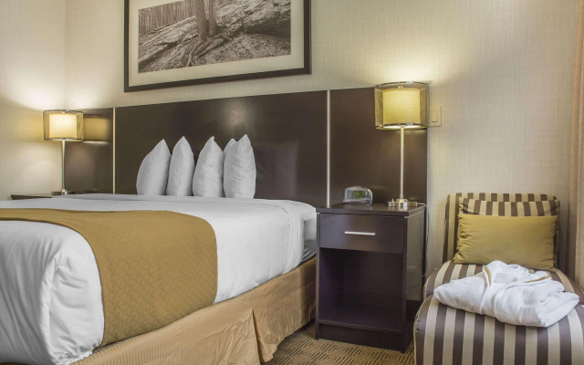 Quality Hotel