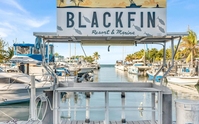 Blackfin Resort and Marina