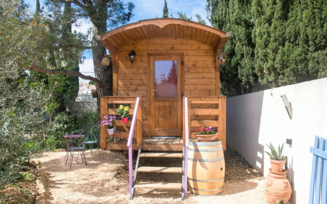 Vintage Provence