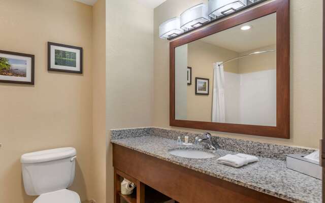 Comfort Suites Grand Rapids North