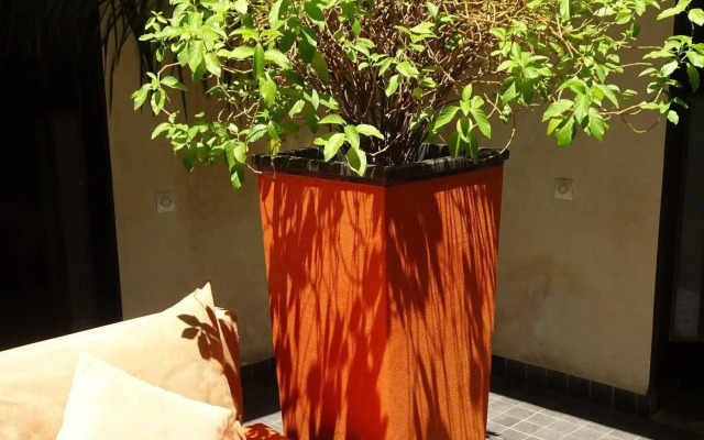 Riad Ralhaya