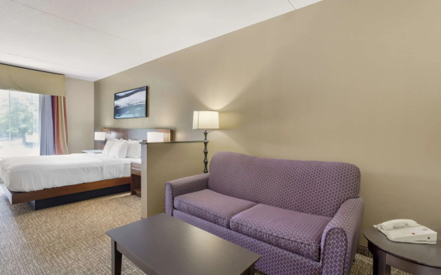 Comfort Suites Knoxville East