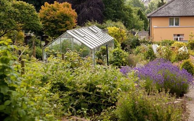 The Mustard Seed at Echo Lodge