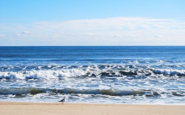 Sea Crest Resort