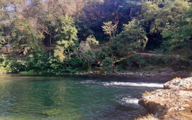 Bas de villa au chant des cigales