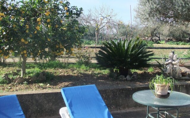 Finca Son Rossinyol