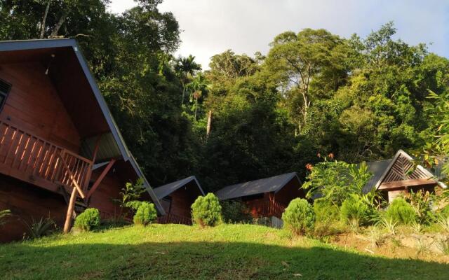 Sinharaja Forest Gate